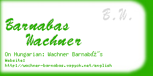 barnabas wachner business card